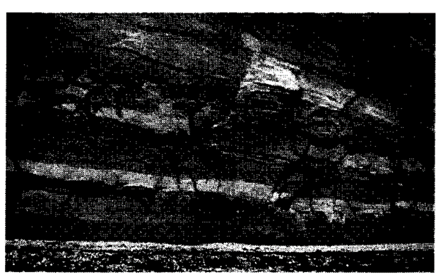 Cliff with bedding at Ladram Bay, where the Otter Sherwood sandstone samples were cored